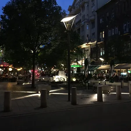 Apartment Near Opera In Downtown *